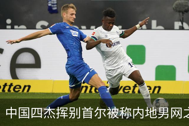 中国四杰挥别首尔被称内地男网之痛，大威首次回应屡战屡败