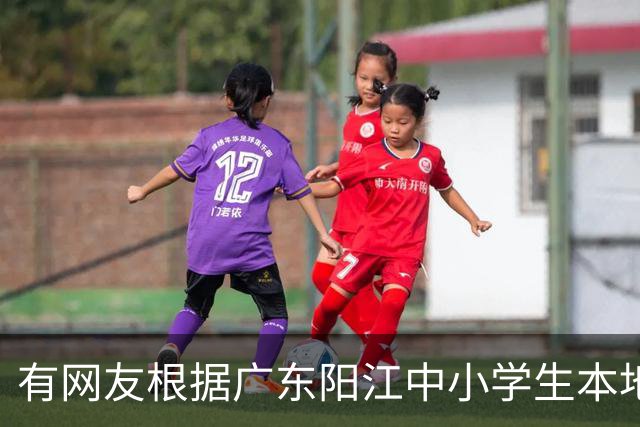 有网友根据广东阳江中小学生本地话交流1%，预测20年阳江话消亡